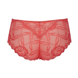 After Eden D-Cup & Up Anna pink hipster