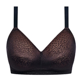 Wacoal Dessous Back Appeal schwarz ohne bügel bh