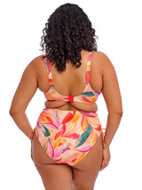 Elomi Schwimmen Sancho Beach orange/pink bikini slip