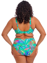 Elomi Schwimmen Toyama Tides  gemoldefer bikini bh