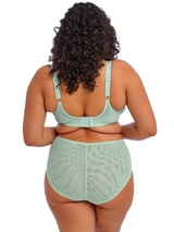 Elomi Brianna blau vorgeformter bh