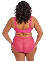 Elomi Charley pink vorgeformter bh