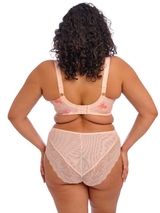 Elomi Lucie pink vorgeformter bh