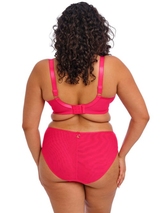 Elomi Teagan fuchsie vorgeformter bh