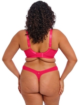 Elomi Teagan fuchsie vorgeformter bh