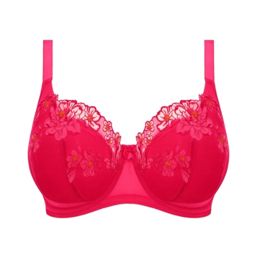 Elomi Teagan fuchsie vorgeformter bh