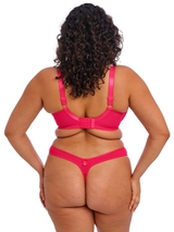 Elomi Teagan fuchsie string