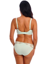 Wacoal Dessous Most Divine grün vorgeformter bh