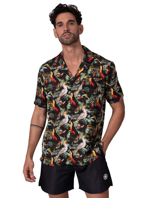 Muchachomalo Solid  schwarz bluse