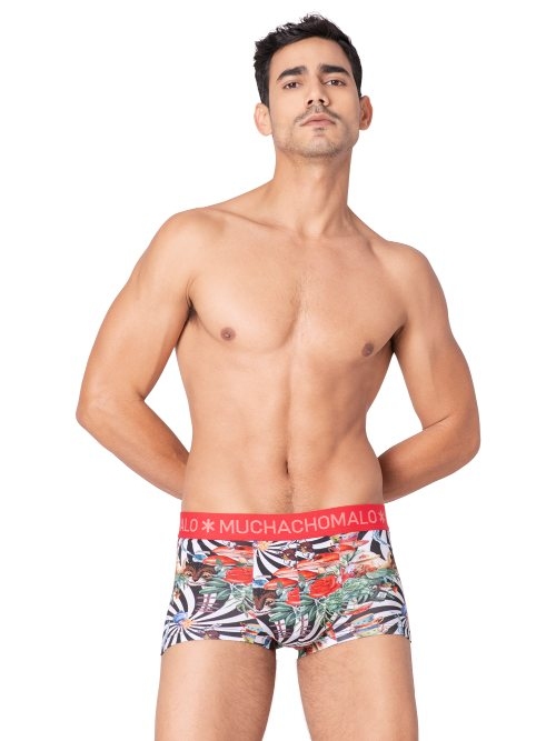 Muchachomalo Fairy Tale grün trunk