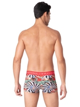 Muchachomalo Fairy Tale rot trunk