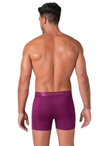 Muchachomalo Dragon Flow print boxershort
