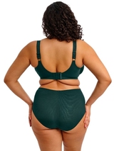 Elomi Cate Allure grün hoher slip