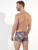 HOM Willy mehrfarbig trunk
