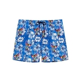 HOM Swimwear Colibris blau badehose