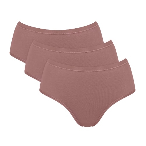 Sloggi GO Daily Cotton braun slip