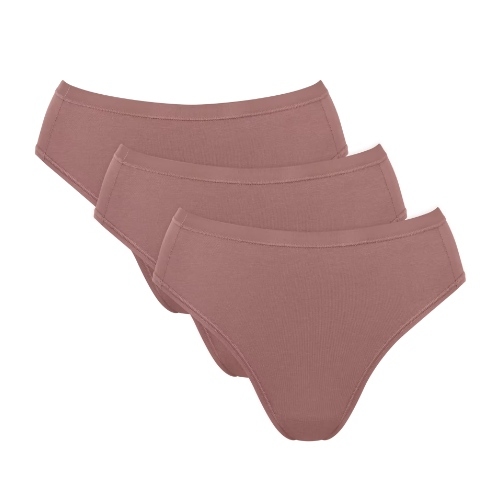 Sloggi GO Daily Cotton braun slip