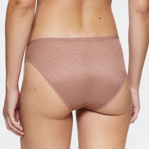Triumph Signature Sheer braun slip