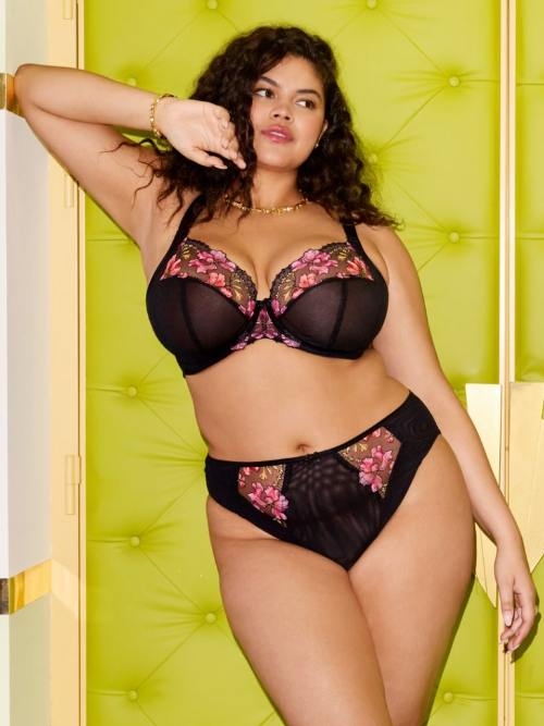 Elomi Teagan schwarz vorgeformter bh