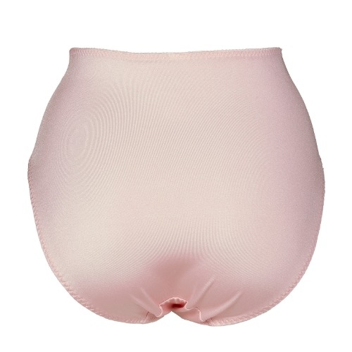 Elbrina Embroid pink slip