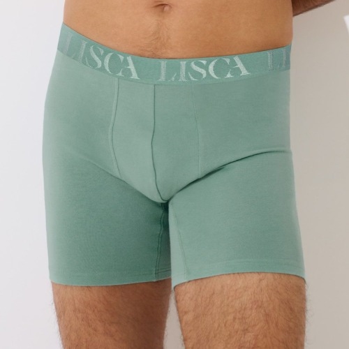 Lisca Heren Odysseus grün boxershort