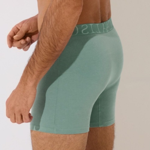 Lisca Heren Odysseus grün boxershort