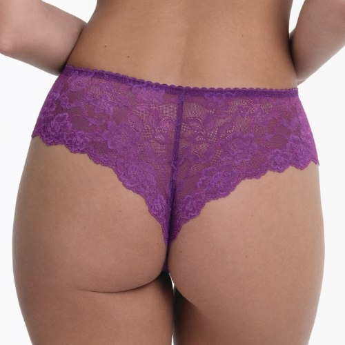 Rosa Faia Bobette magic purple hipster