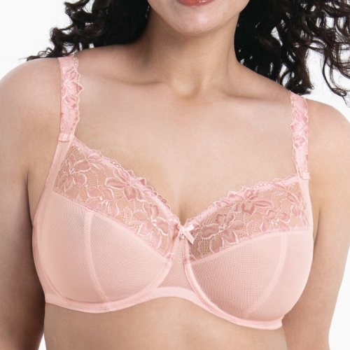 Rosa Faia Suzette wild rose vorgeformter bh