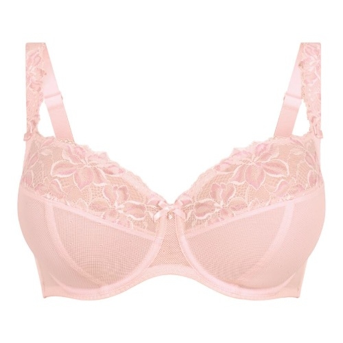 Rosa Faia Suzette wild rose vorgeformter bh