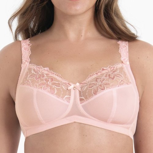 Rosa Faia Suzette wild rose vorgeformter bh
