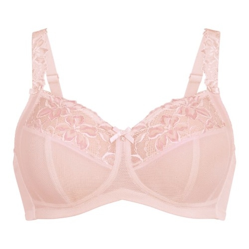 Rosa Faia Suzette wild rose vorgeformter bh