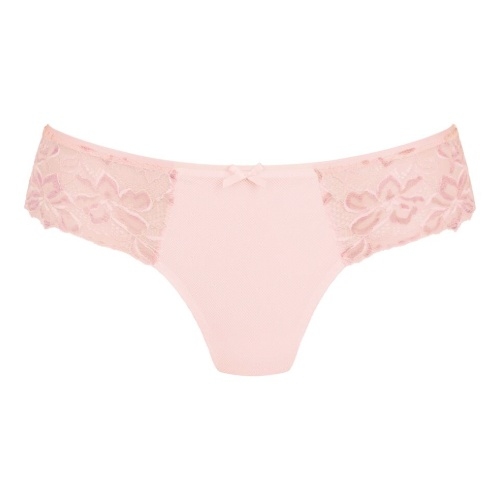 Rosa Faia Suzette wild rose hipster