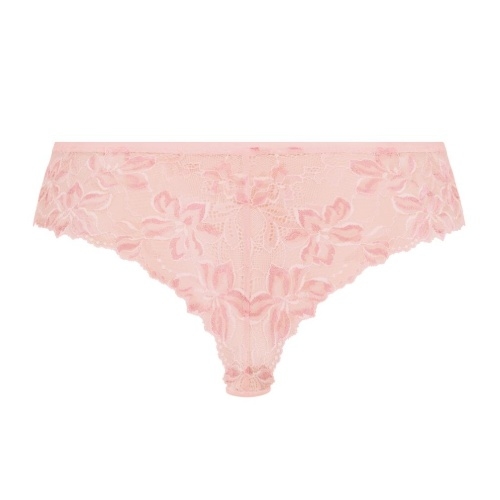 Rosa Faia Suzette wild rose hipster