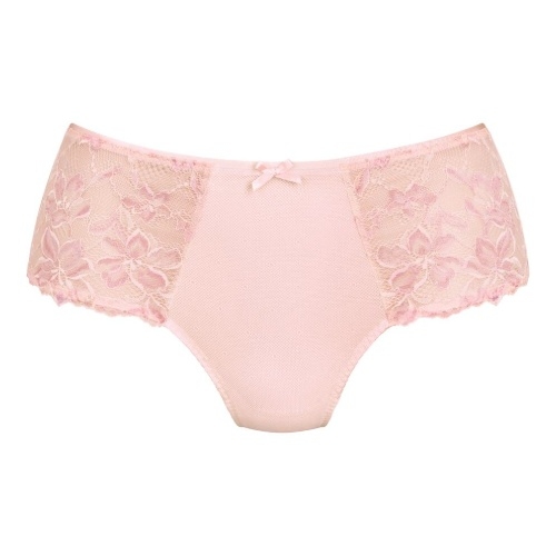Rosa Faia Suzette wild rose slip