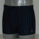 Schiwi-Männer pinstripe navy-blau badehose