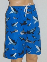 Schiwi-Männer Shark blau/print badehose