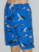 Schiwi-Männer Shark blau/print badehose