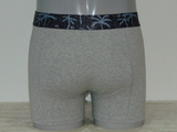 Schiwi-Männer Palm grau boxer short