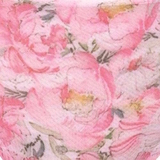 Anita Still-BHs & Wäsche Miss Rose pink/print slip