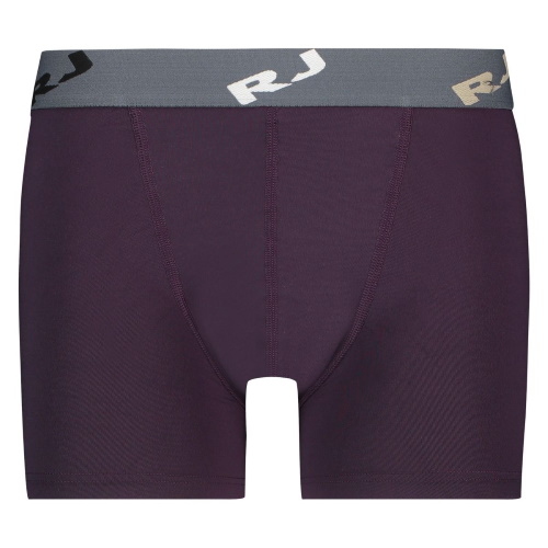 RJ Bodywear Männer Pure Color  aubergine micro boxershort