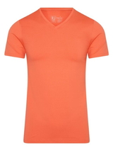 RJ Bodywear Männer Pure Color  koralle shirt