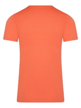 RJ Bodywear Männer Pure Color  koralle shirt