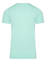 RJ Bodywear Männer Pure Color  minze shirt