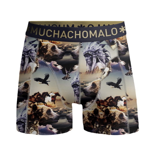 Muchachomalo Bear mehrfarbig/print jungen boxershort
