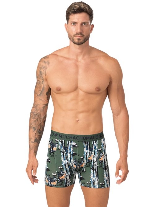 Muchachomalo Chasing Waterfalls grün/print boxershort Muchachomalo Chasing Waterfalls grün/print boxershort