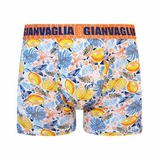 Gianvaglia Lemons gelb/print boxer short