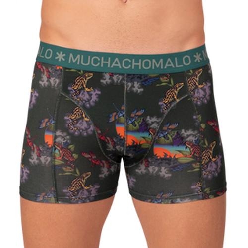 Muchachomalo Frogger grün/print modal boxershort