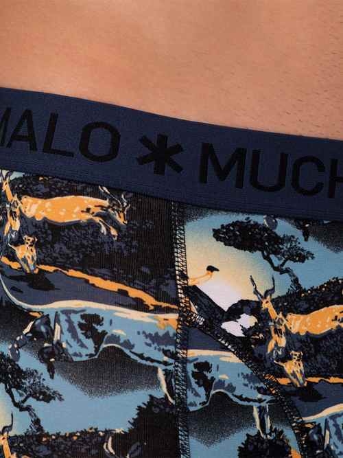 Muchachomalo Lion blau/print boxershort Muchachomalo Lion blau/print boxershort
