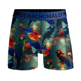 Muchachomalo Papagay blau/print jungen boxershort