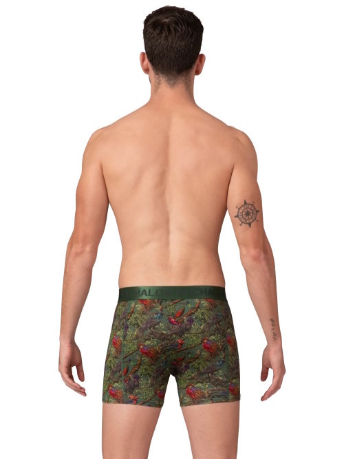 Muchachomalo BirdTree grün/print modal boxershort Muchachomalo BirdTree grün/print modal boxershort